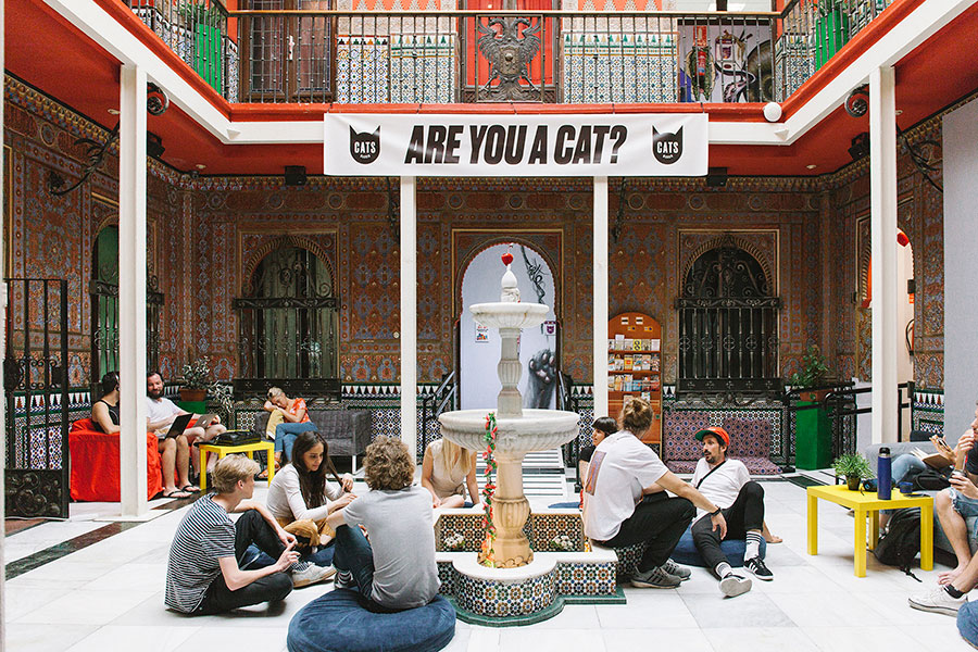 Cats Madrid