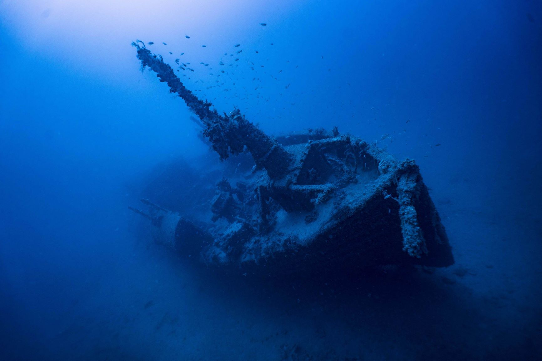Malta-Trusty-Star