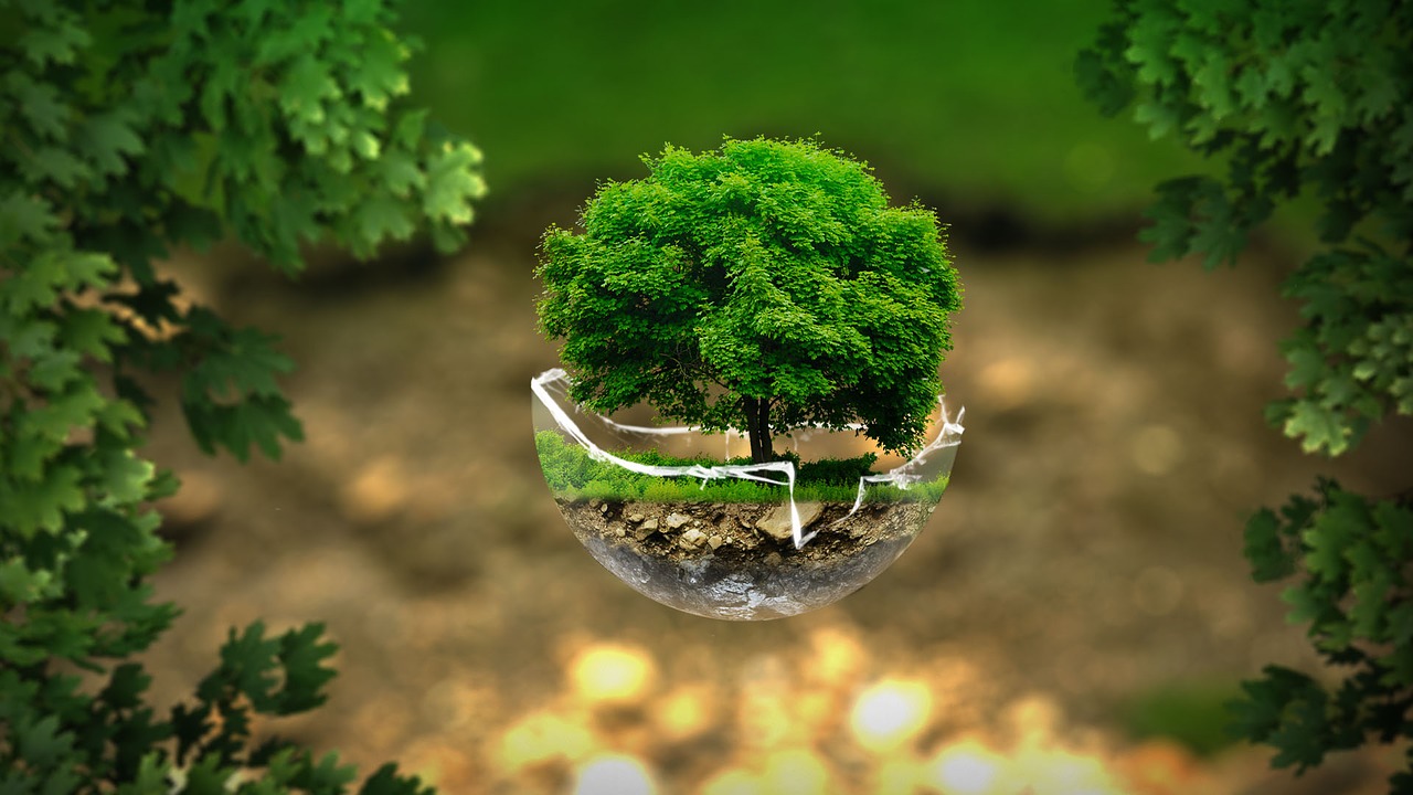 Image by Iván Tamás from Pixabay