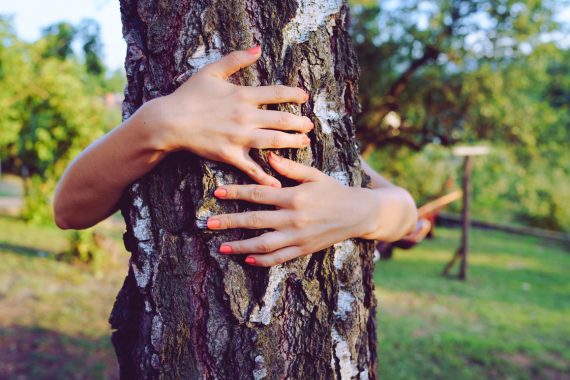 albero-abbraccio