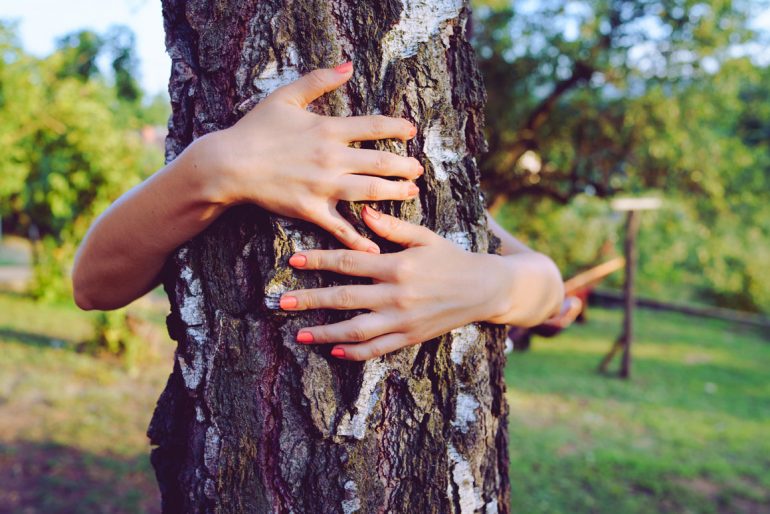 albero-abbraccio