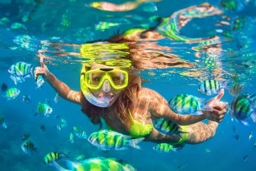 snorkeling-caraibi