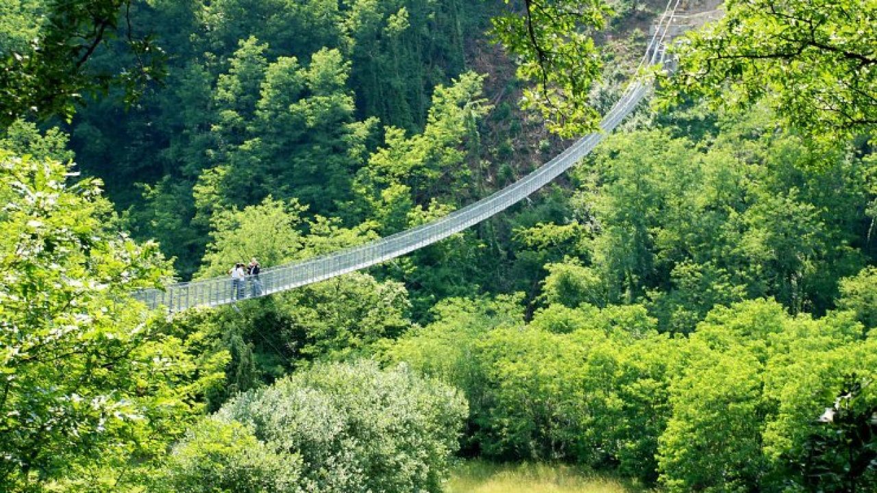 Risveglio scala Palazzo il più lungo ponte sospeso del mondo sottoveste Dare diritti tendono Risveglio scala Palazzo il più lungo ponte sospeso del mondo sottoveste Dare diritti tendono