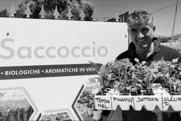 saccoccio1