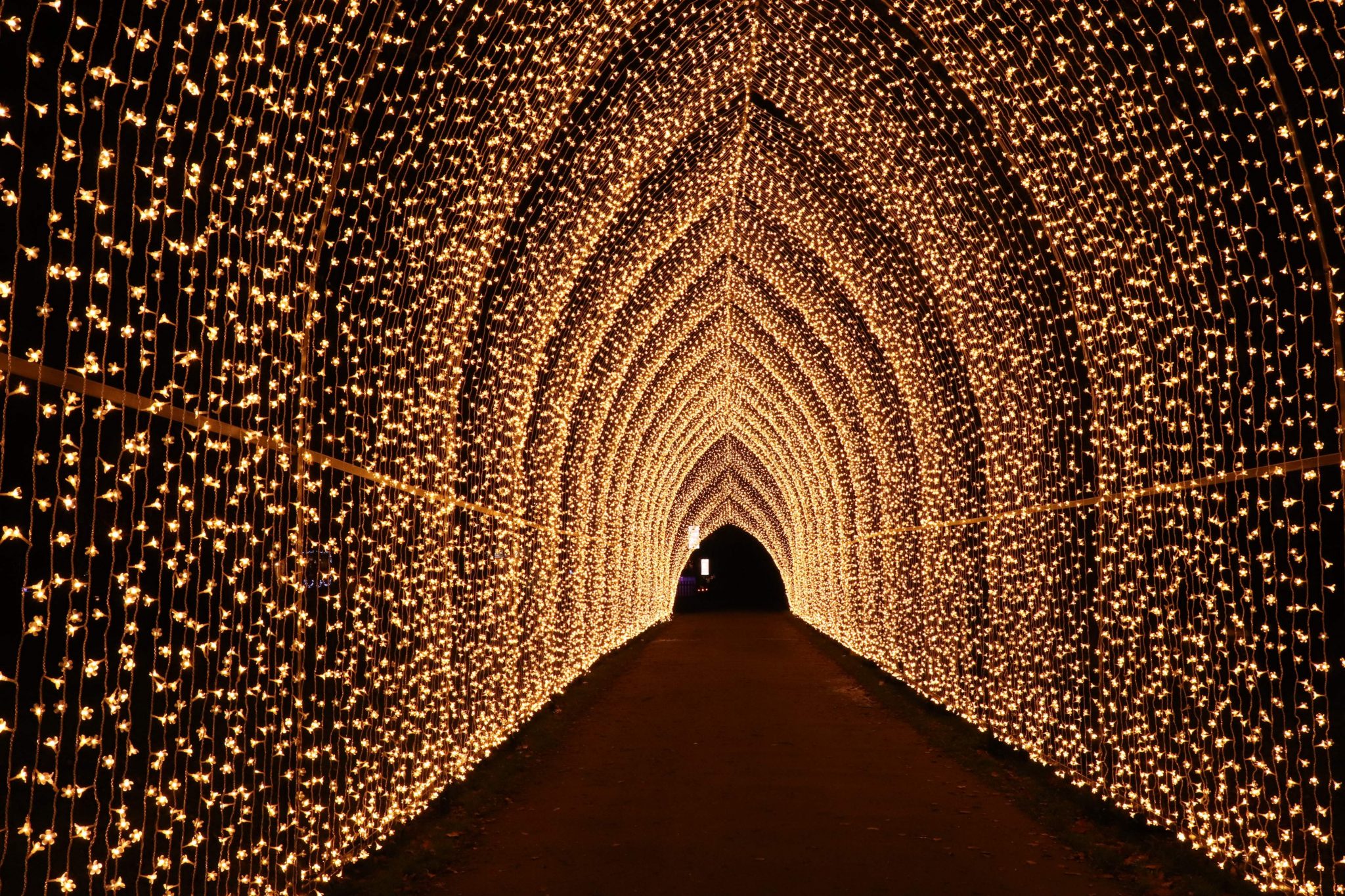 Se un tunnel di luci illumina il Natale di Londra ViaggiOff