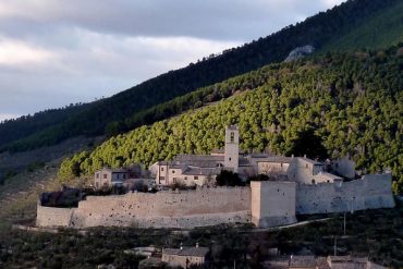 FOTO ULIVI RINASCITA UMBRIA
