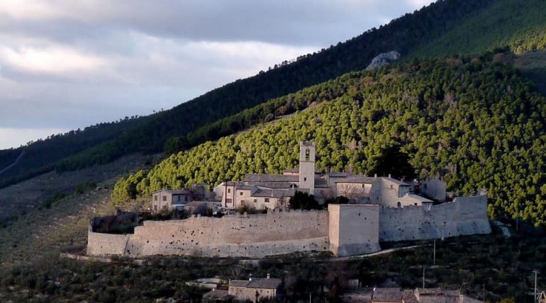 FOTO ULIVI RINASCITA UMBRIA