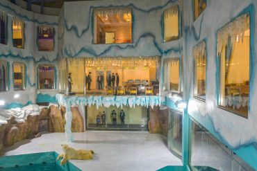 Polar Bear Hotel