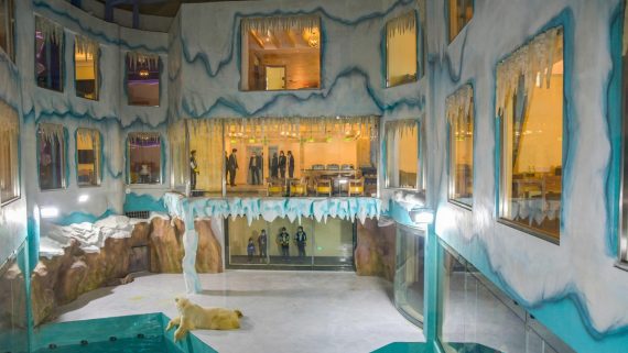 Polar Bear Hotel
