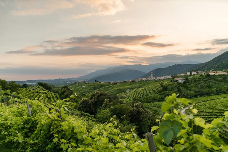 Valdo Vigneti