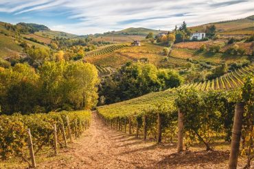 Piemonte capitale food