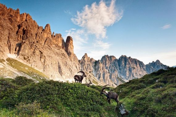 friuli viaggi letterari credits luciano gaudenzio
