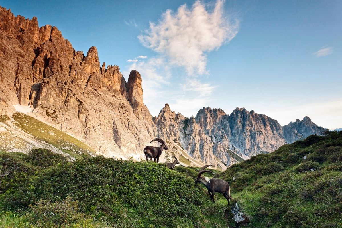 friuli viaggi letterari credits luciano gaudenzio
