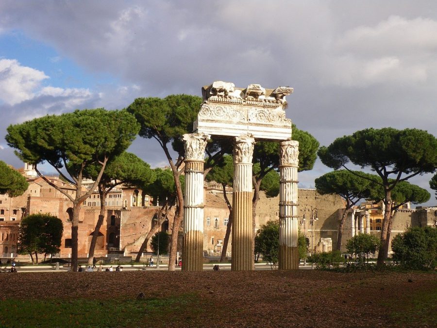 pini roma