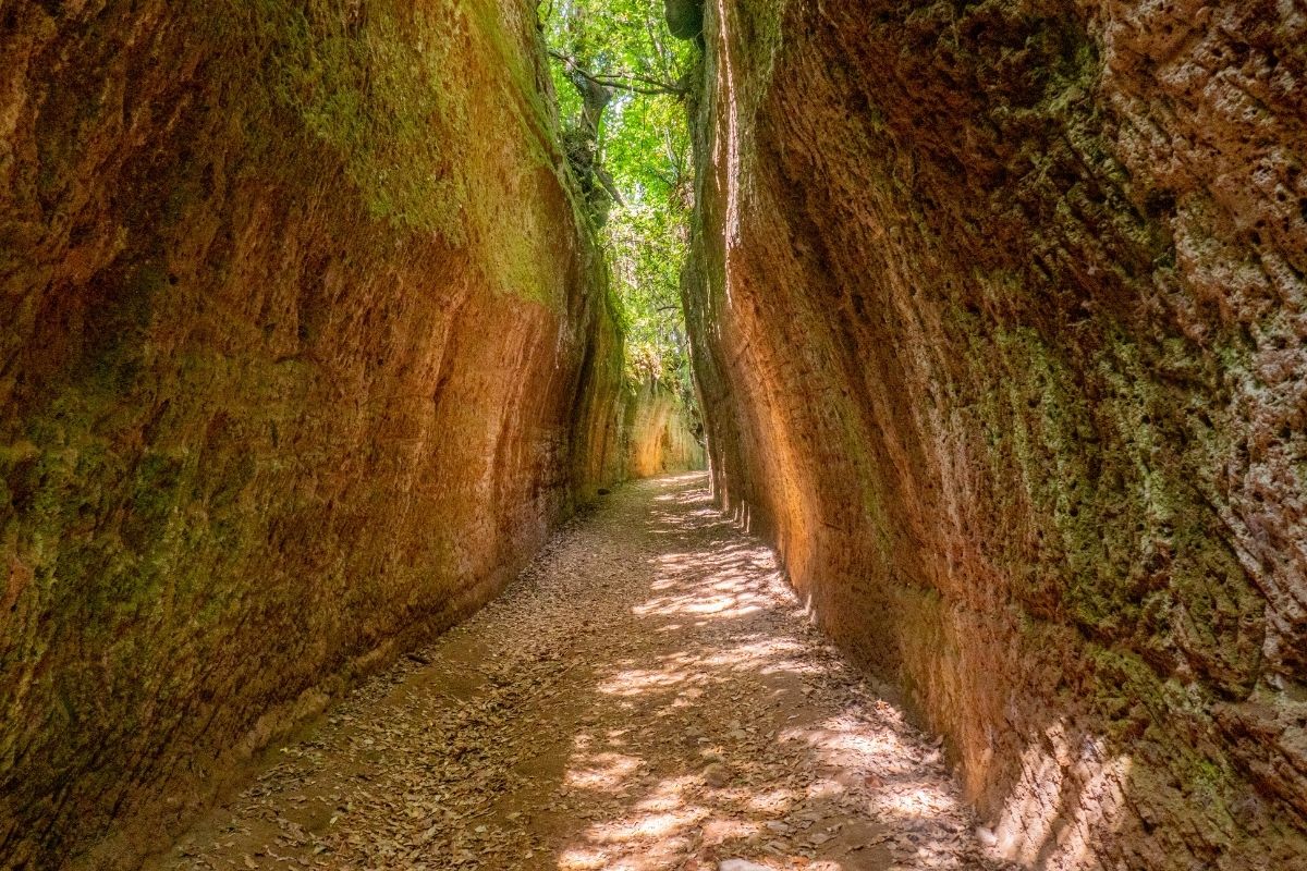 vie cave
