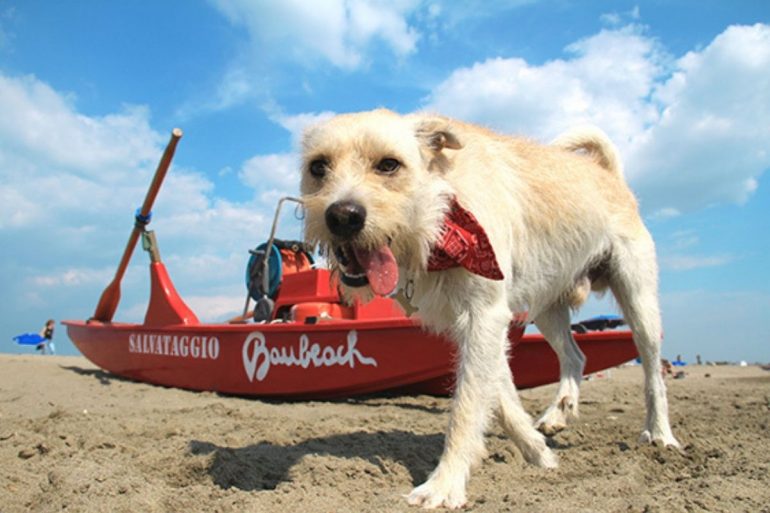baubeach