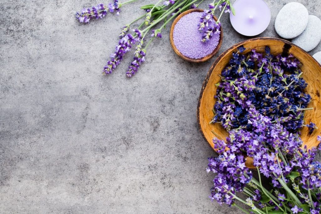 lavanda alessandria monferrato