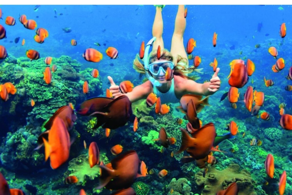 Acquaworld realtà virtuale