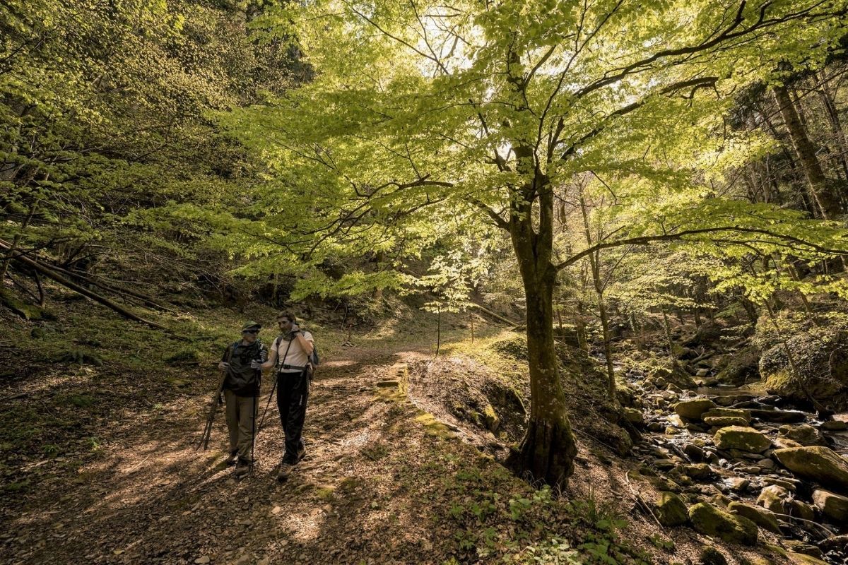 Foresta della Lama guide Aigae