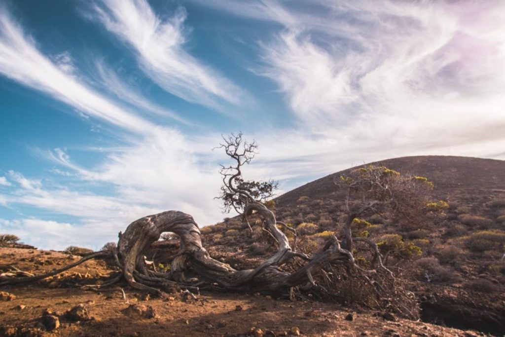Canarie el hierro turismo responsabile
