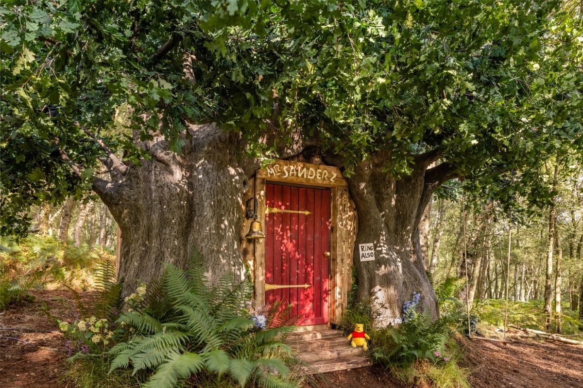 casa di winnie the pooh
