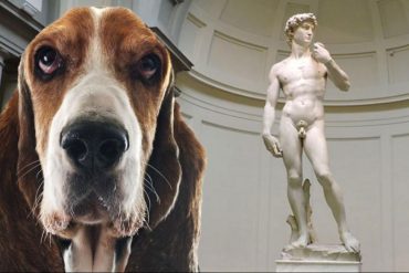 Trip for dog con il cane al museo
