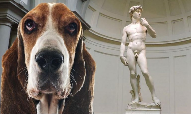 Trip for dog con il cane al museo