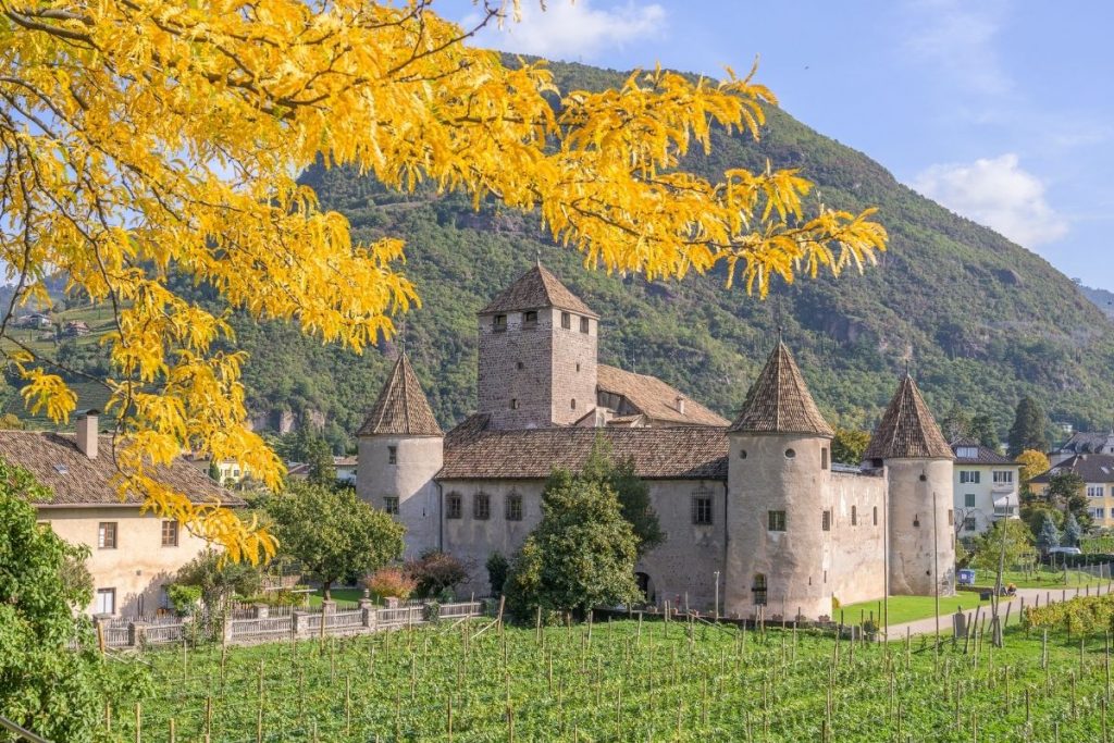 foliage dove vederlo bolzano