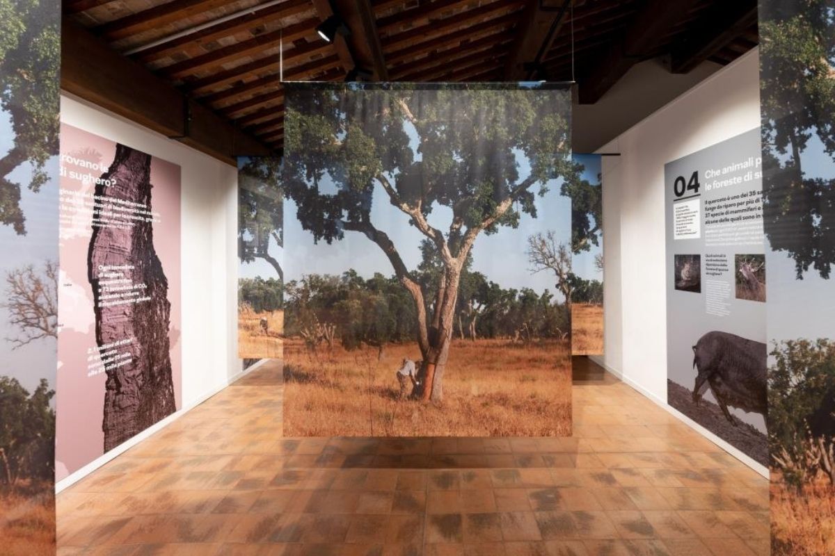mostra sughero