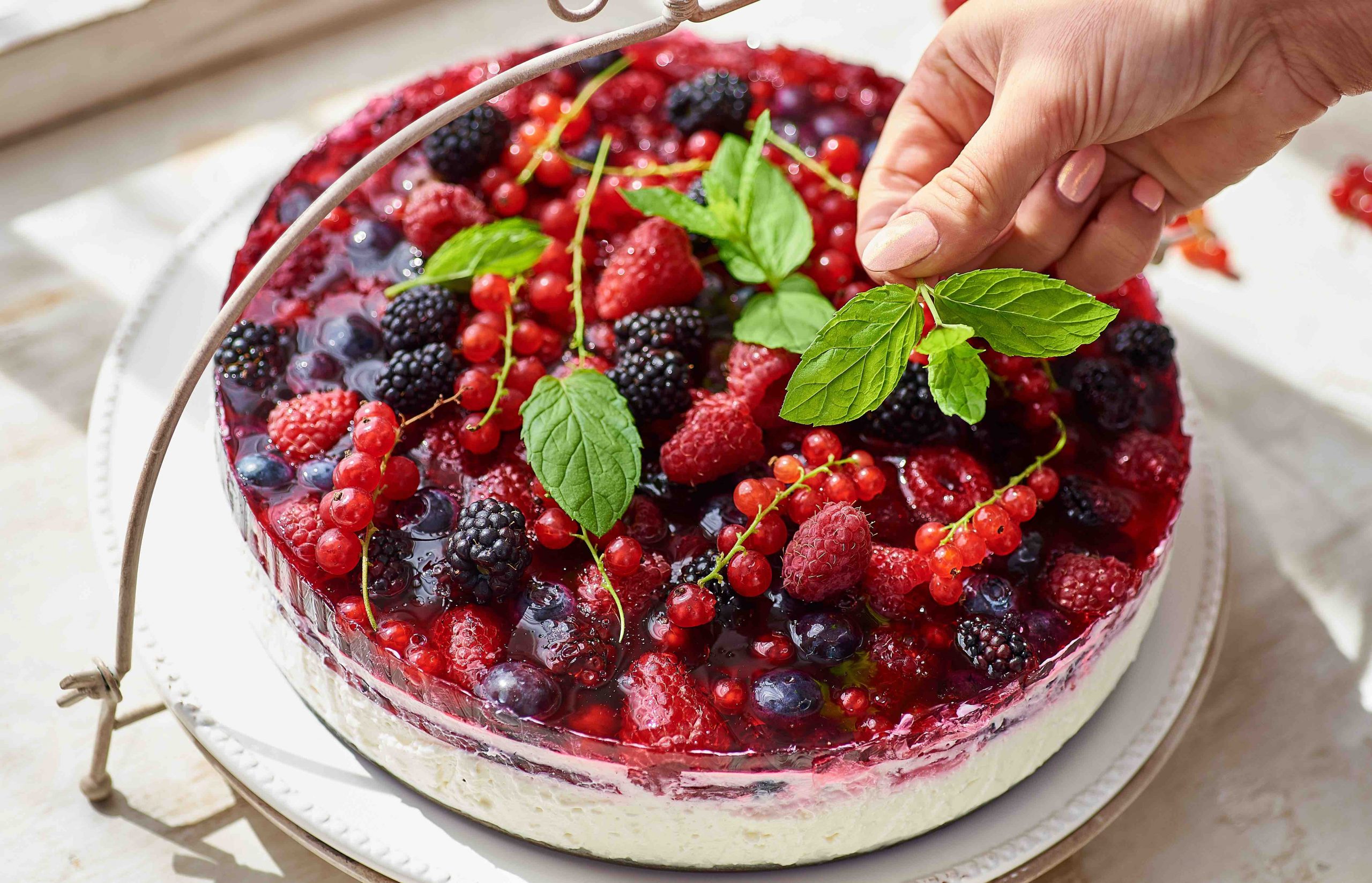 cheesecake