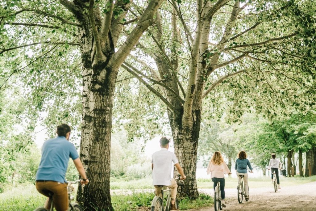 itinerari cicloturistici emilia