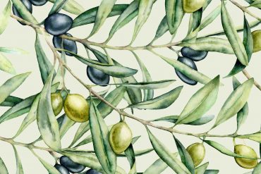 olive disegnate