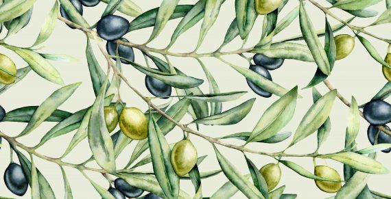 olive disegnate