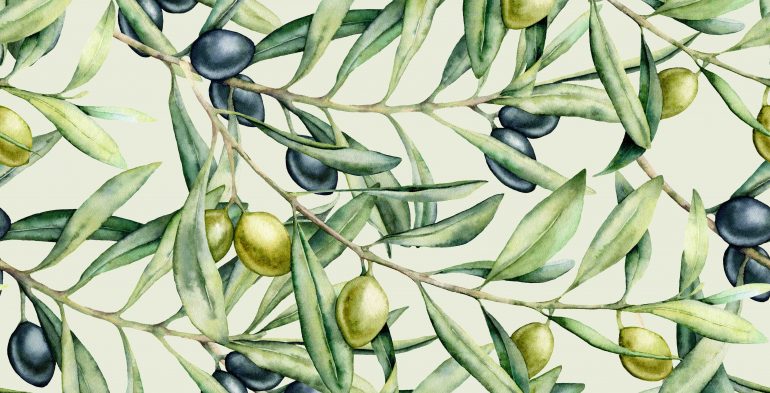 olive disegnate