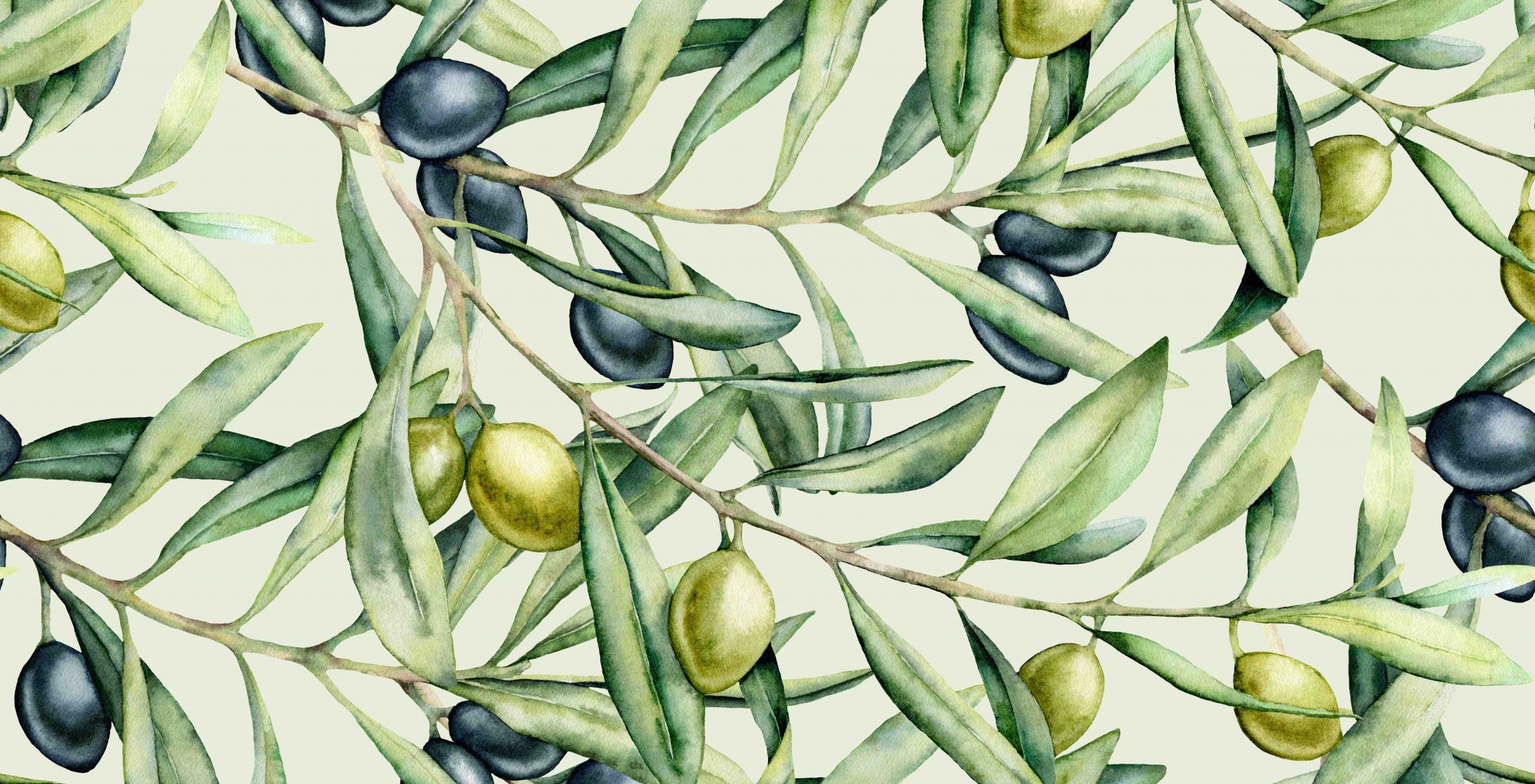 olive disegnate