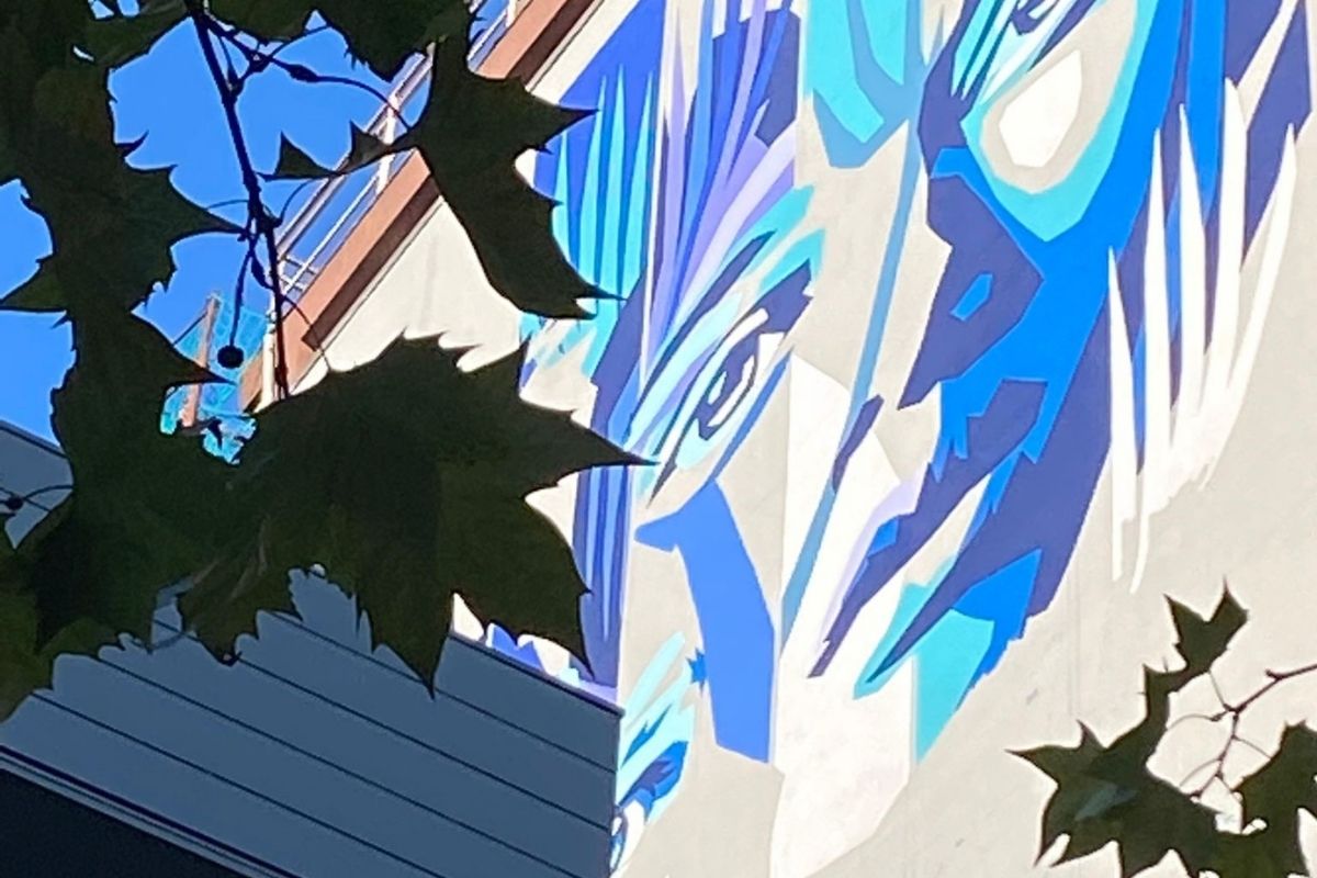 BluWall Best Western murales