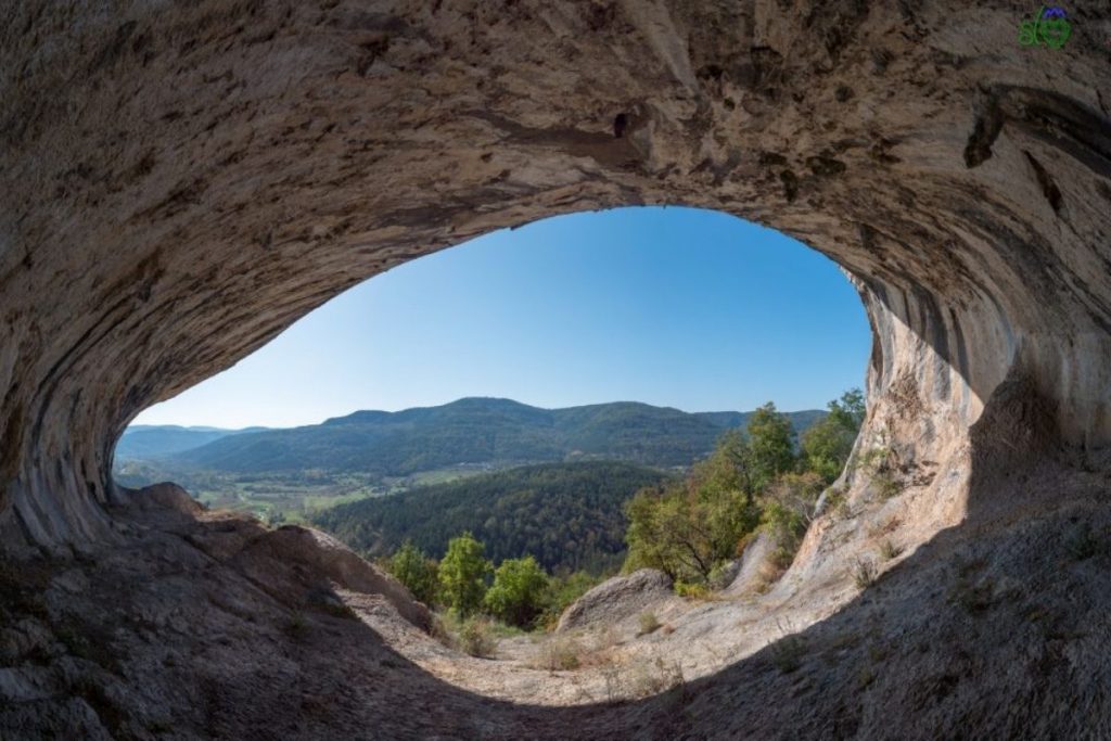 Slovenia orecchie dell'istria