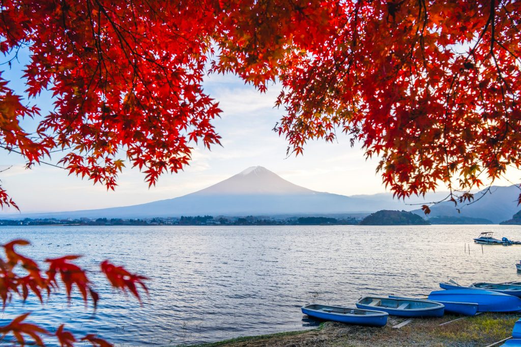 Momijigari in Giappone