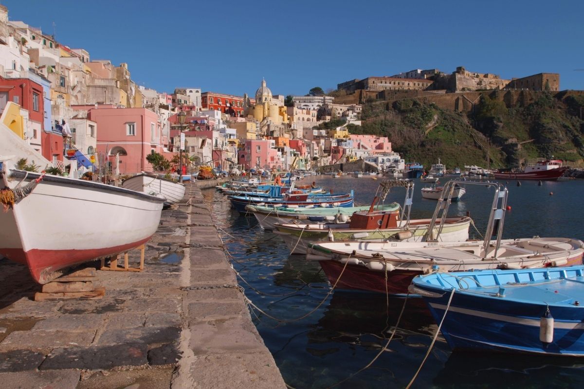Procida Magister Art