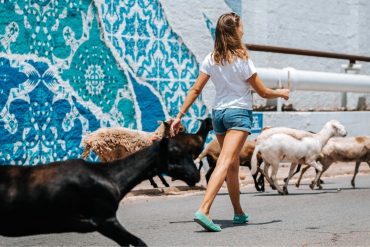 aruba slow tourism