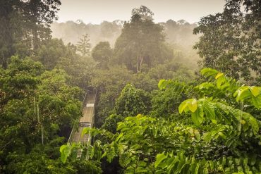borneo sabah