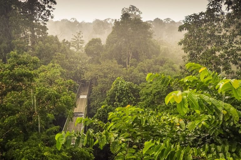 borneo sabah
