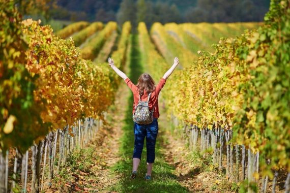wine tourism Italia