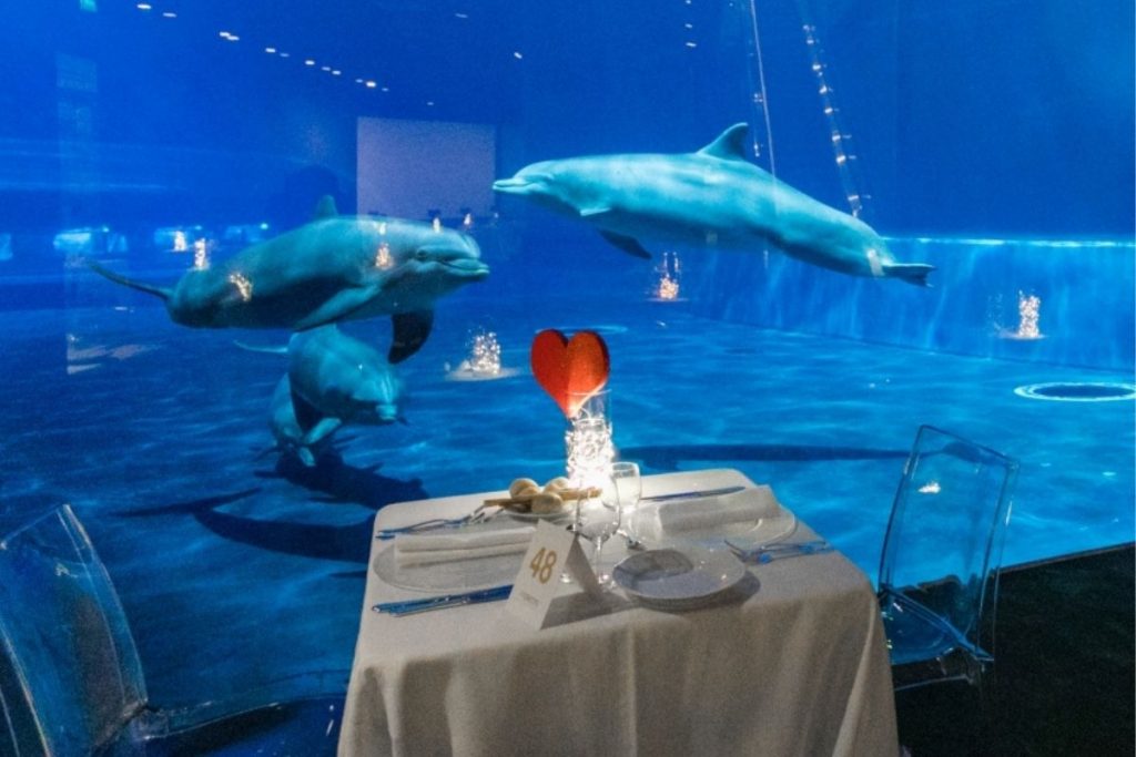 san valentino acquario di genova