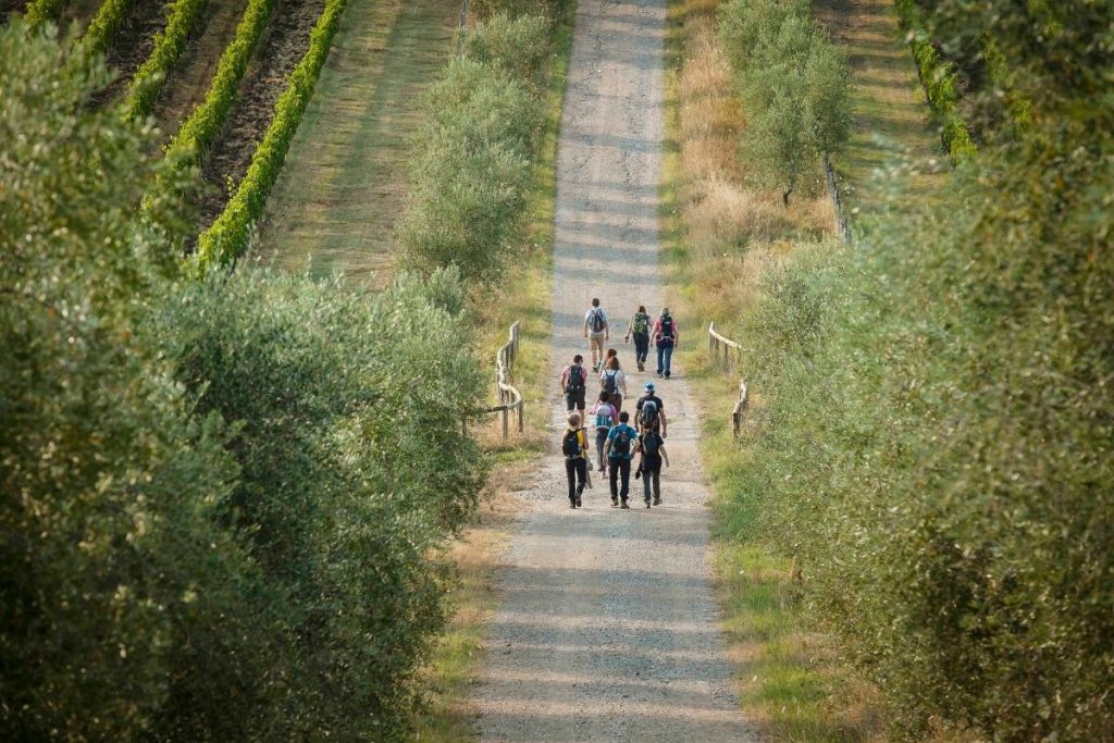 Atlante dei cammini toscani Via Romea Sanese Badia Passignano Chianti @ciclica 5770
