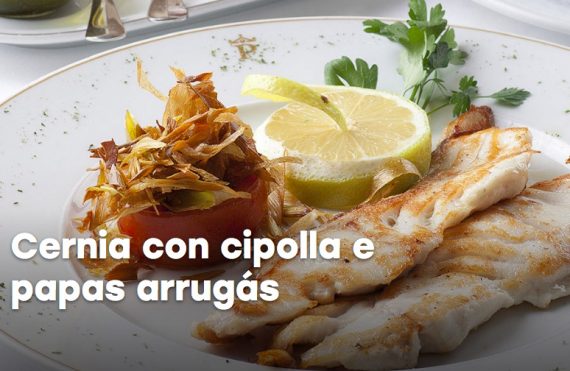 cernia