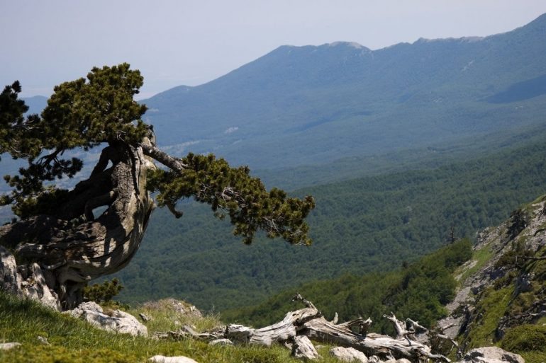 Parco nazionale del Pollino