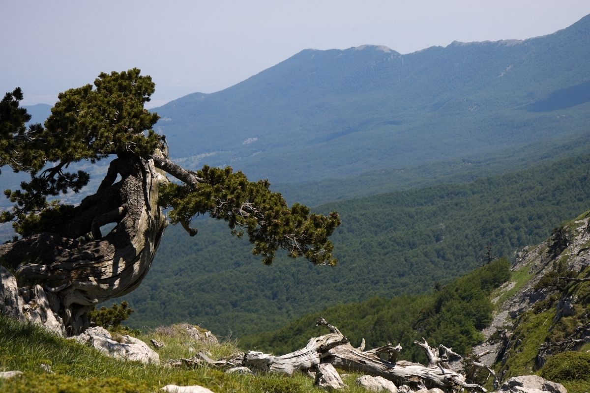 Parco nazionale del Pollino