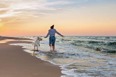 spiaggia cani