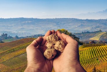 Tartufo Bianco d’Alba